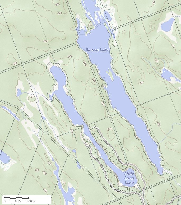 Topographical Map of Rutter Lake in Municipality of Muskoka Lakes and the District of Muskoka